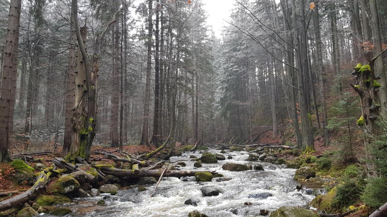Villa Leika - Panoramablick Am Riesengebirge Mysłakowice Kültér fotó